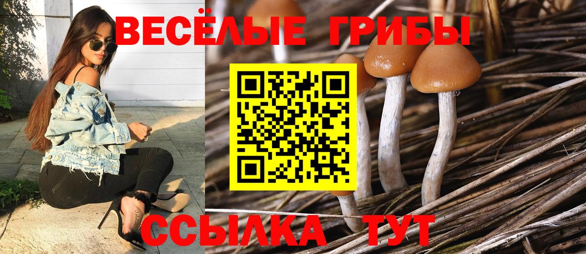 Псилоцибиновые грибы Magic Shrooms  Вход с VPN  Псилоцибиновые грибы Psilocybe  Новороссийск 